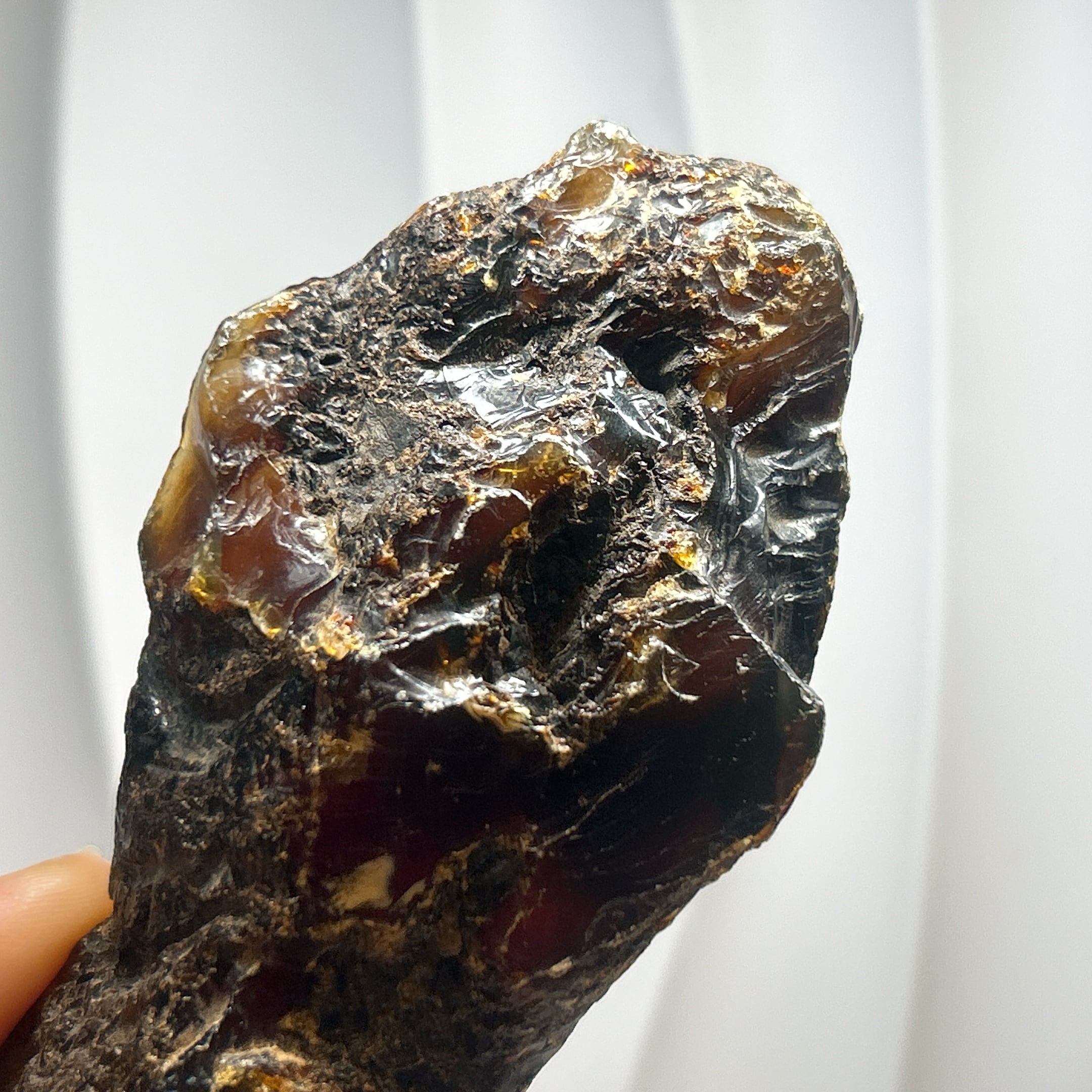 化石]琥珀・アンバー | クリスタル・ワールド御徒町店