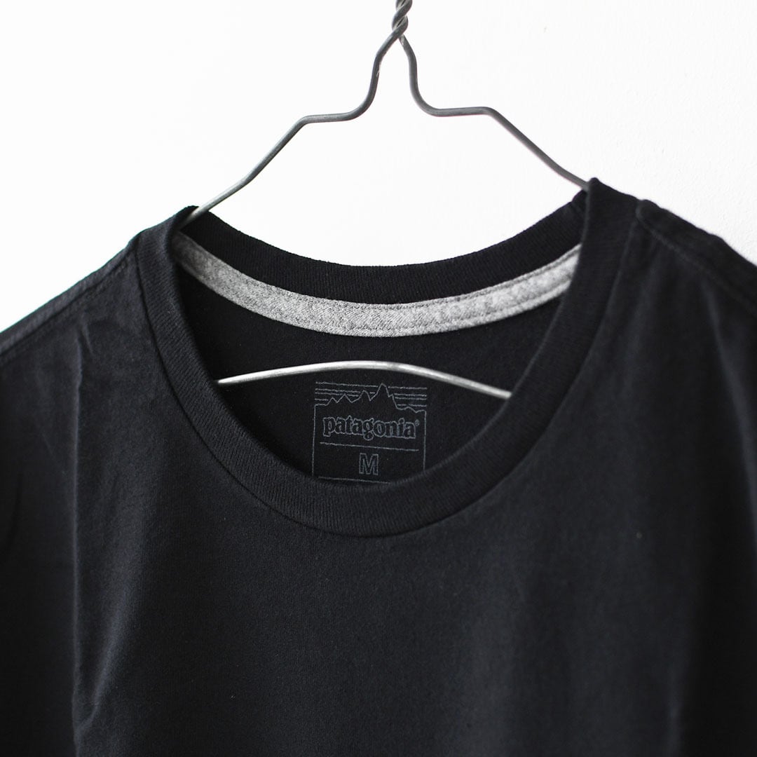 Patagonia [パタゴニア正規代理店] M's Great Waves Responsibili-Tee