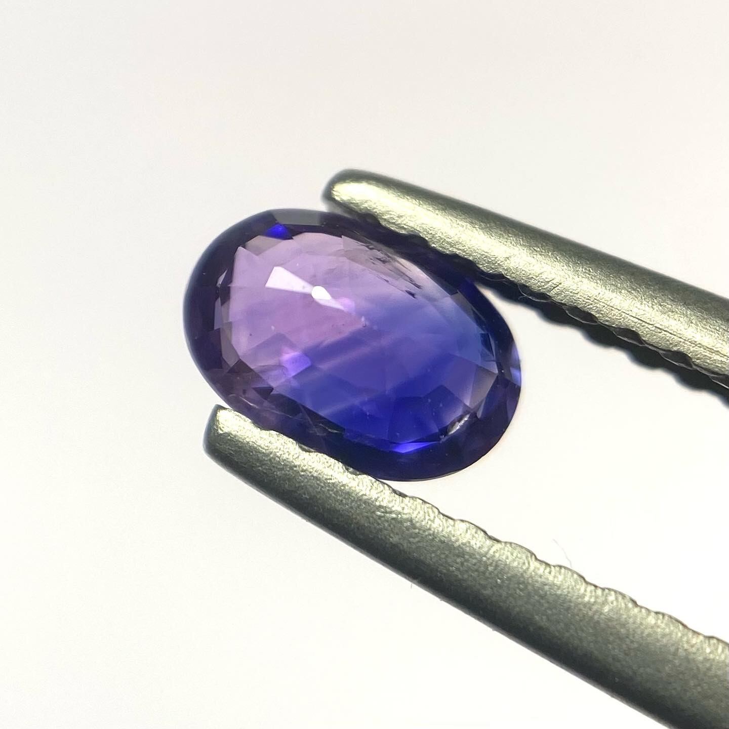 ハナショウブ バイカラーサファイア