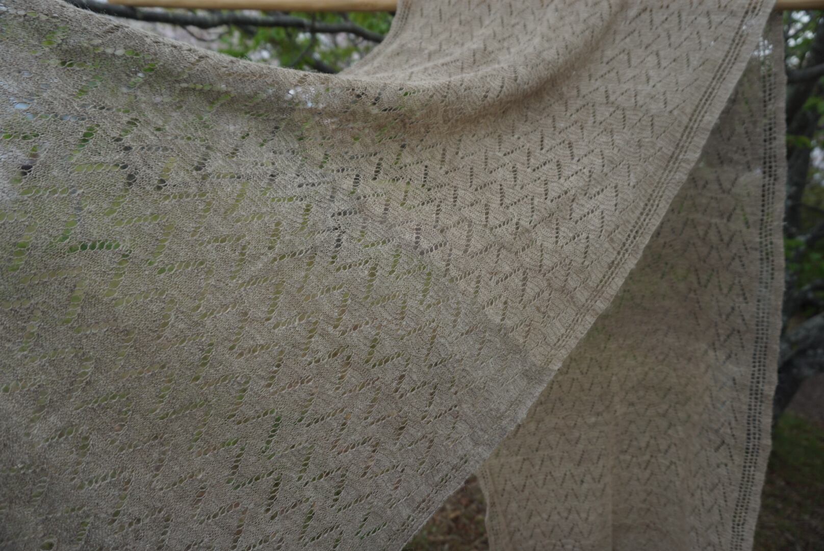 イラクサショール ネトル アロー 50cm nettle ネパール ヒマラヤン