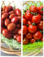 【結/縁　食べ比べセット】（2kg）