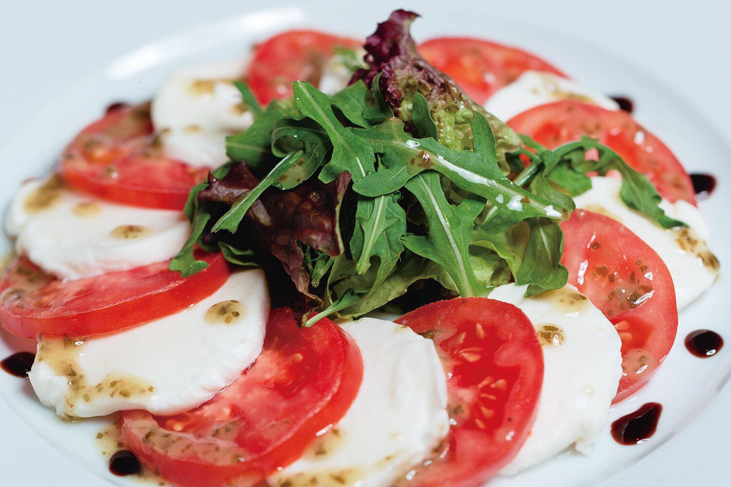 サーリチェ サレンティーノ ロッソ エイジド イン オーク／Salice Salentino Rosso DOP AGED IN OAK（F97 ）