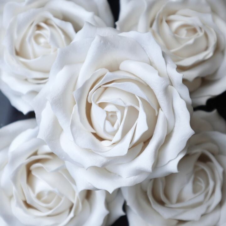 クイーンバラQ-W1 ホワイト(9輪入り）