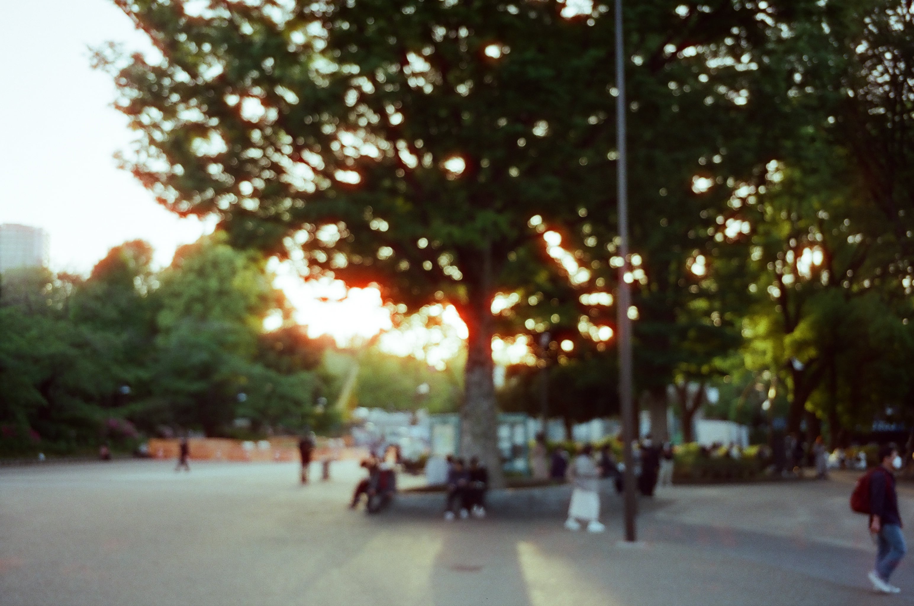作例あり】FILM NEVER DIE SORA 200 35mmカラーネガフィルム 36枚撮り