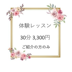 （体験の方はこちら）３０分個人レッスン