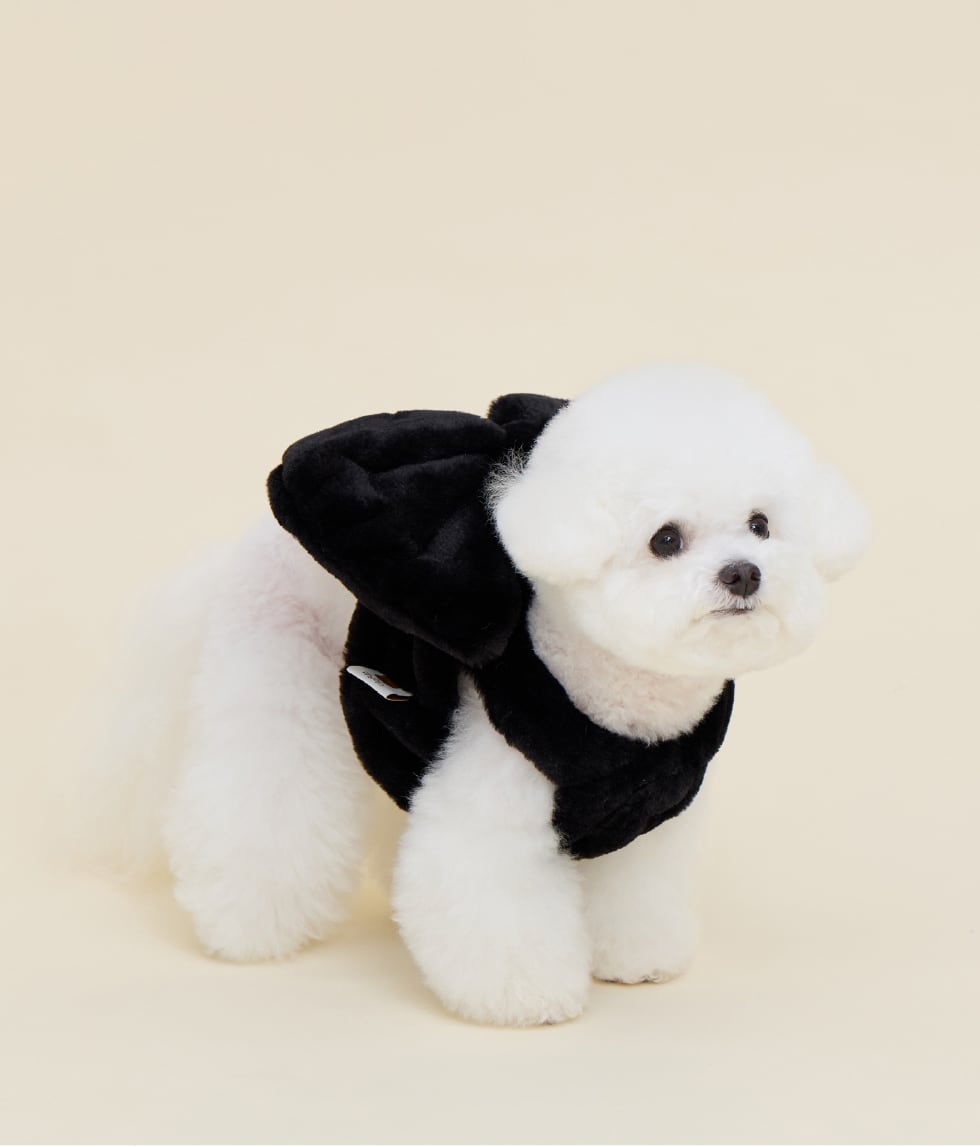 予約【meaningless】Roem Harness (Black)