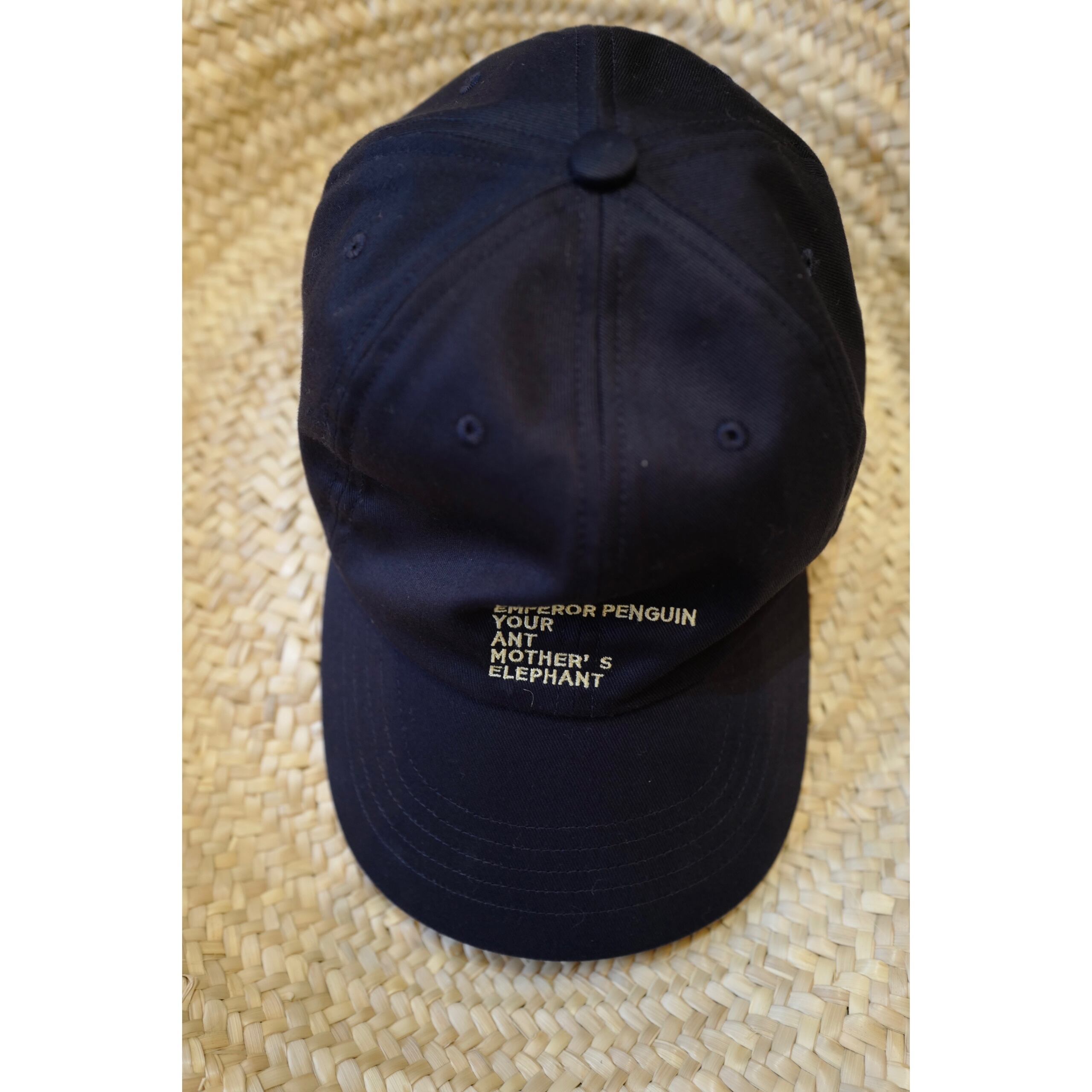 MEYAME │EMBROIDERY COTTON CAP MADE BY NINE TAILOR (ORIGINAL BODY