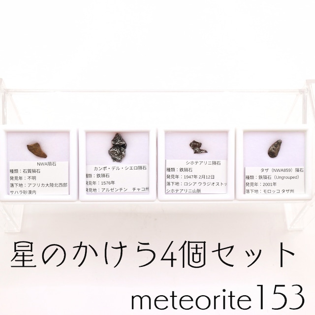 鑑別済 モルダバイト 原石 meteorite141 | せんとば～な～堂 9th