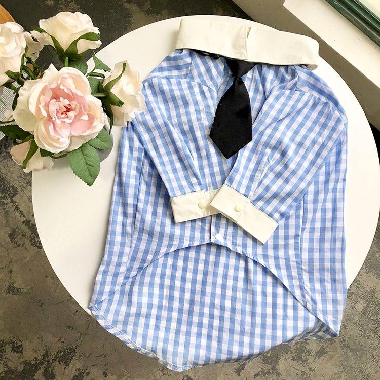 さわやかブルーのチェックシャツ