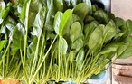 にのみや農園  ほうれん草 約250g