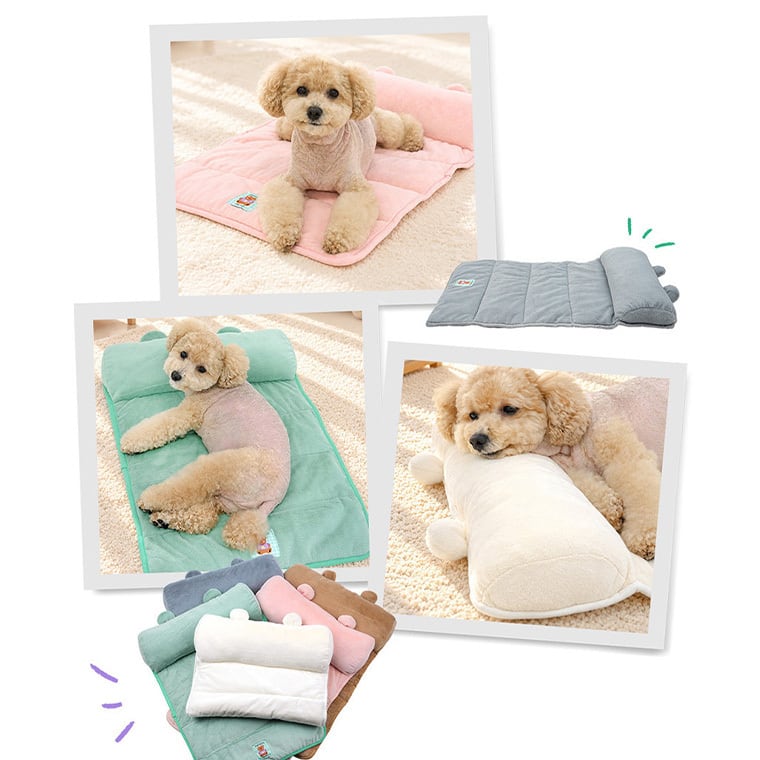 palette color pillow mat Msize 5color  /  犬用 マット 持ち運び 折りたたみ 洗濯可能 コンパクト 滑り止め ふわふわ 小型犬 中型犬 ベッド クッション