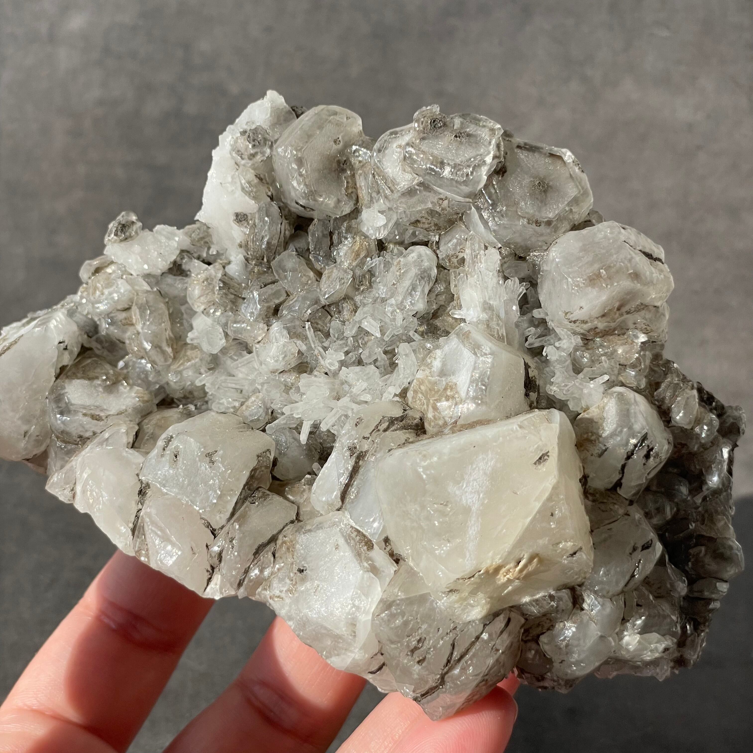 動物彫刻付き天然石　パンダ石 中国産石の彫刻 パンダ｜Yahoo!フリマ（旧PayPayフリマ）