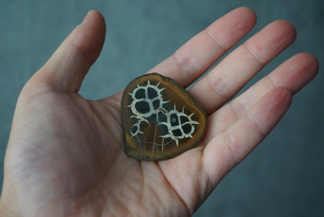 セプタリアン Septarian 1689