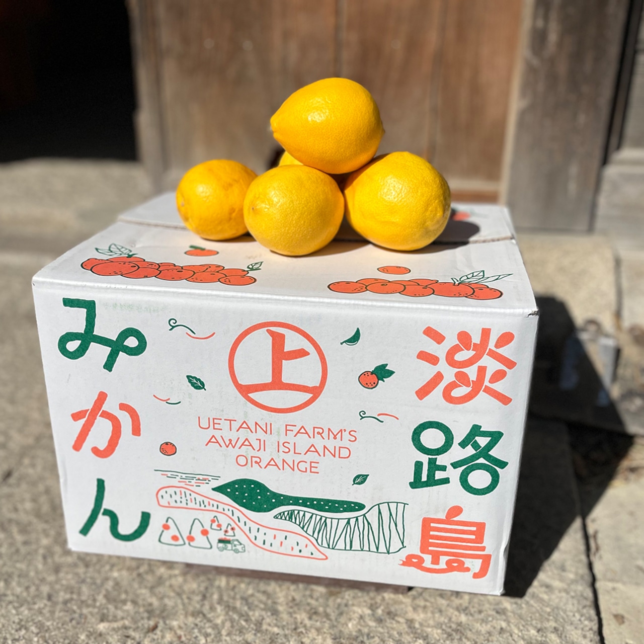 【おまかせ淡路島レモン5KG】発送中