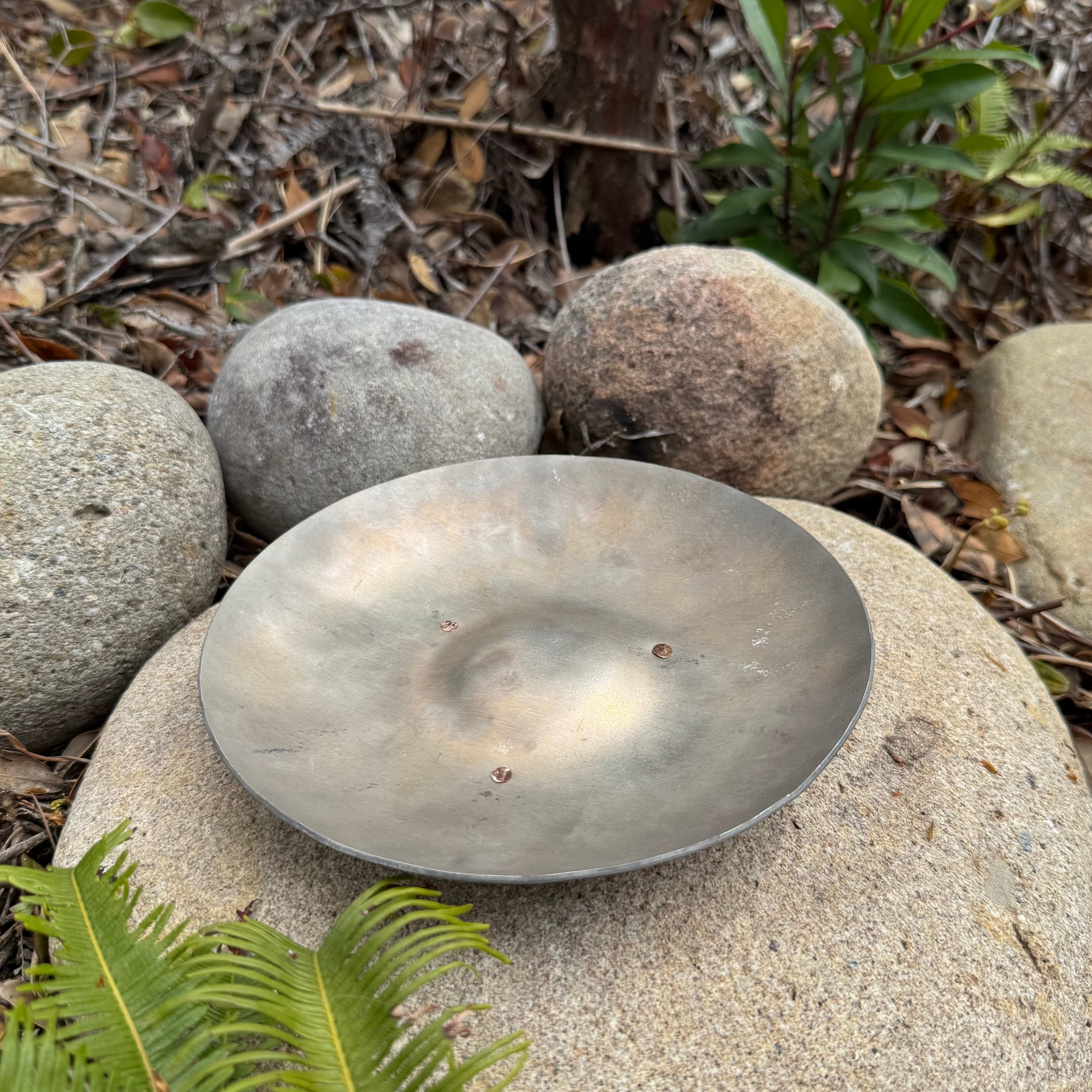 BushLid ブッシュリッド Fryingpan17cm φ16cmLid | EVOLUTION MOUNTAIN