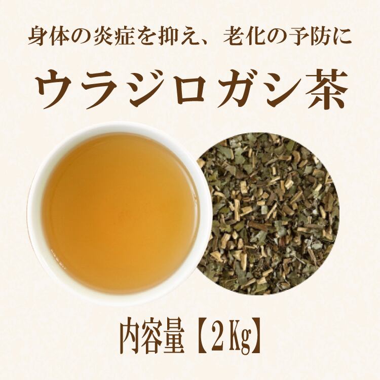 ウラジロガシ茶(徳島産)：2kg | ティーバッグ加工・茶葉卸売り・受託
