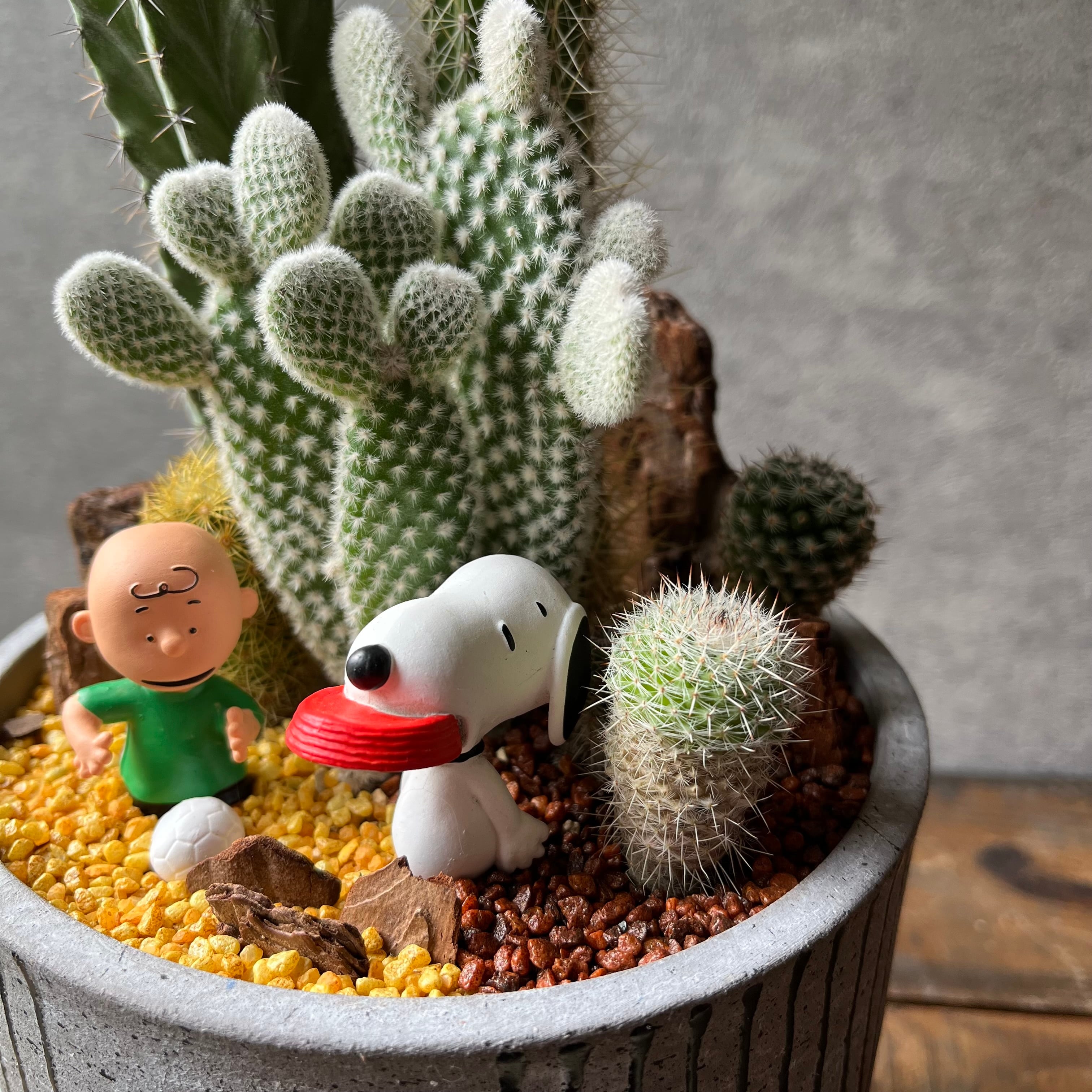 【新品】maison de sabre スイカ　PEANUTS スヌーピーコラボ 値下げ maison de sabre スイカ PEANUTS - メルカリ