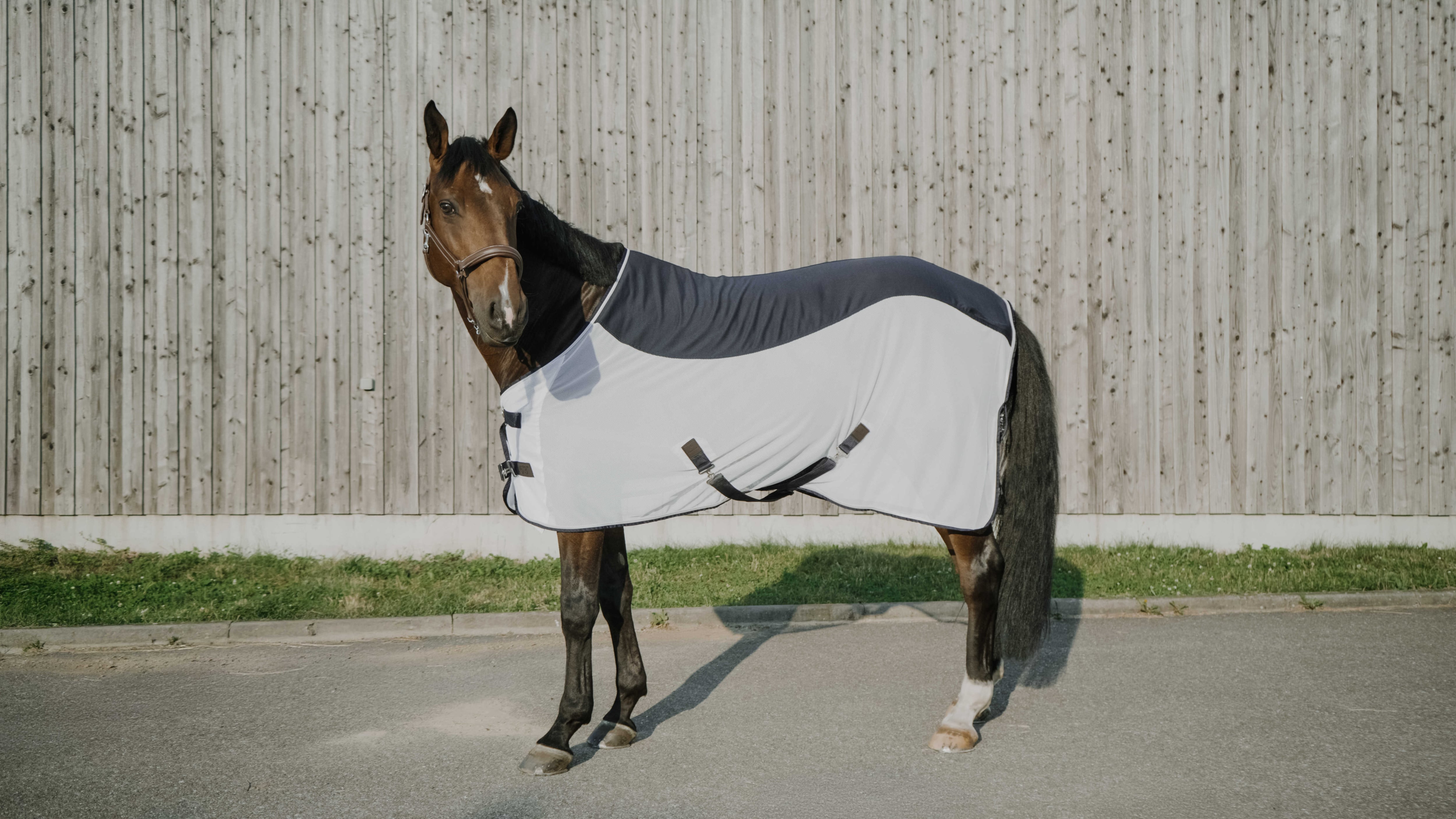 馬着 馬着・エクササイズシート 馬具・乗馬用品 P-joux ラグ 馬着
