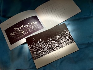 bed time story