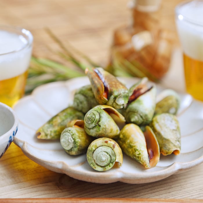 チャンバラ貝（キリアイ）3kg | すくも特産品マルシェ