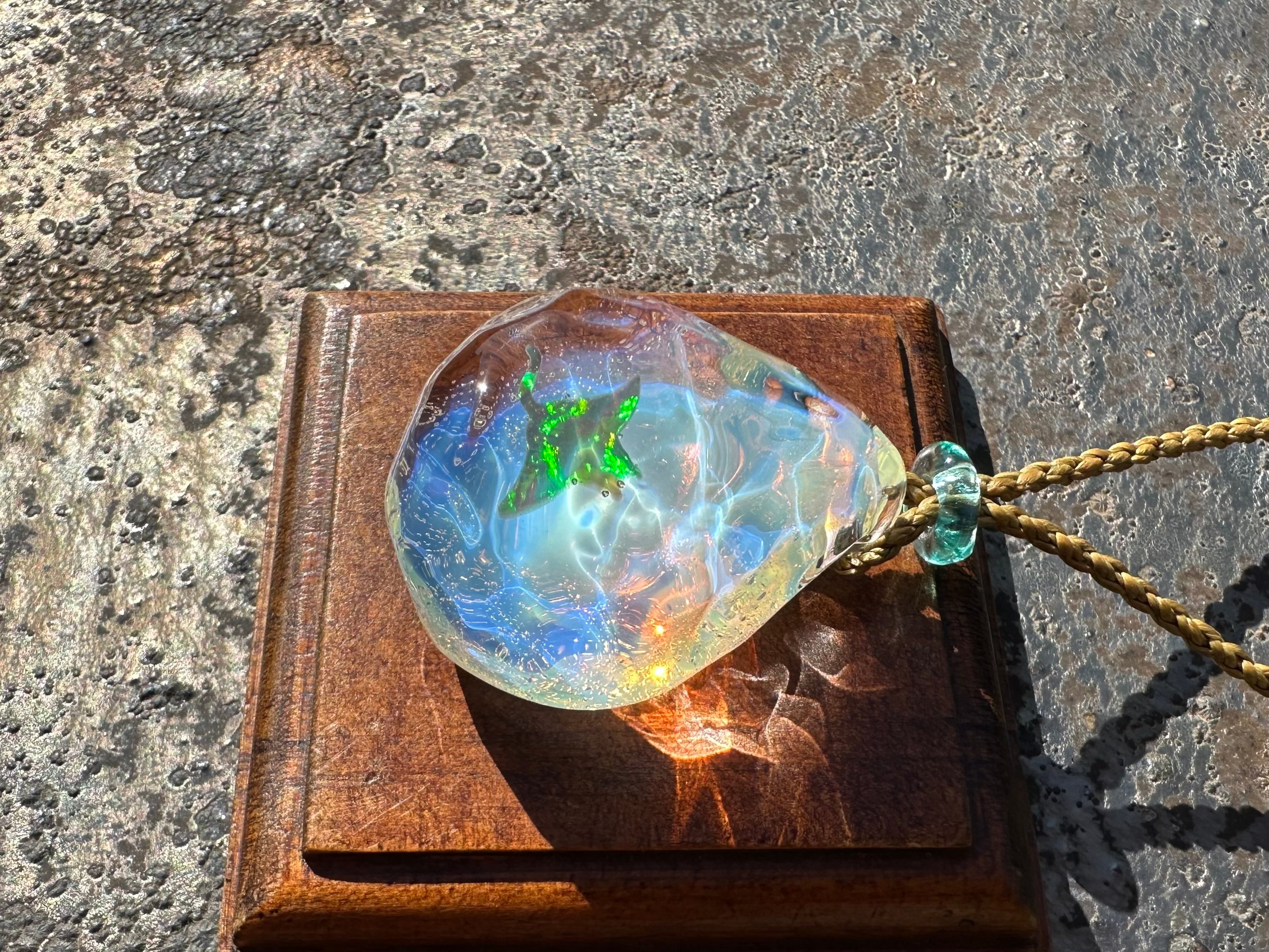 【ウミノカケラ Mantaray】