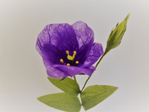 越前和紙で手作り花のキット【中級編】＿トルコキキョウ