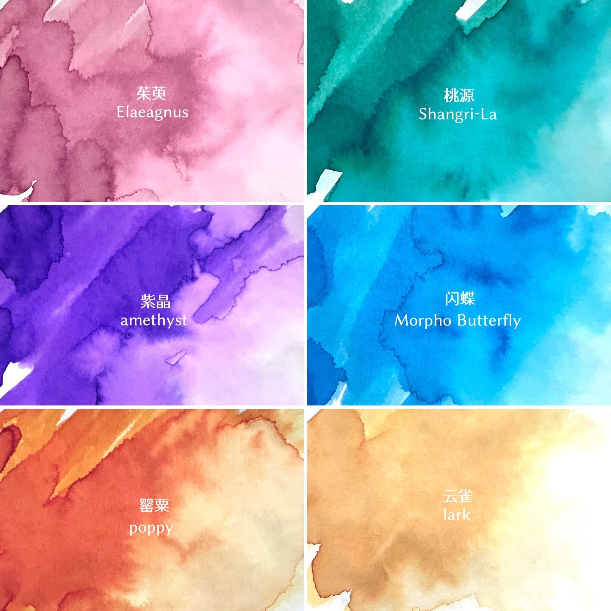 34ba8f8f8543eba3bd6a78a2fc5978