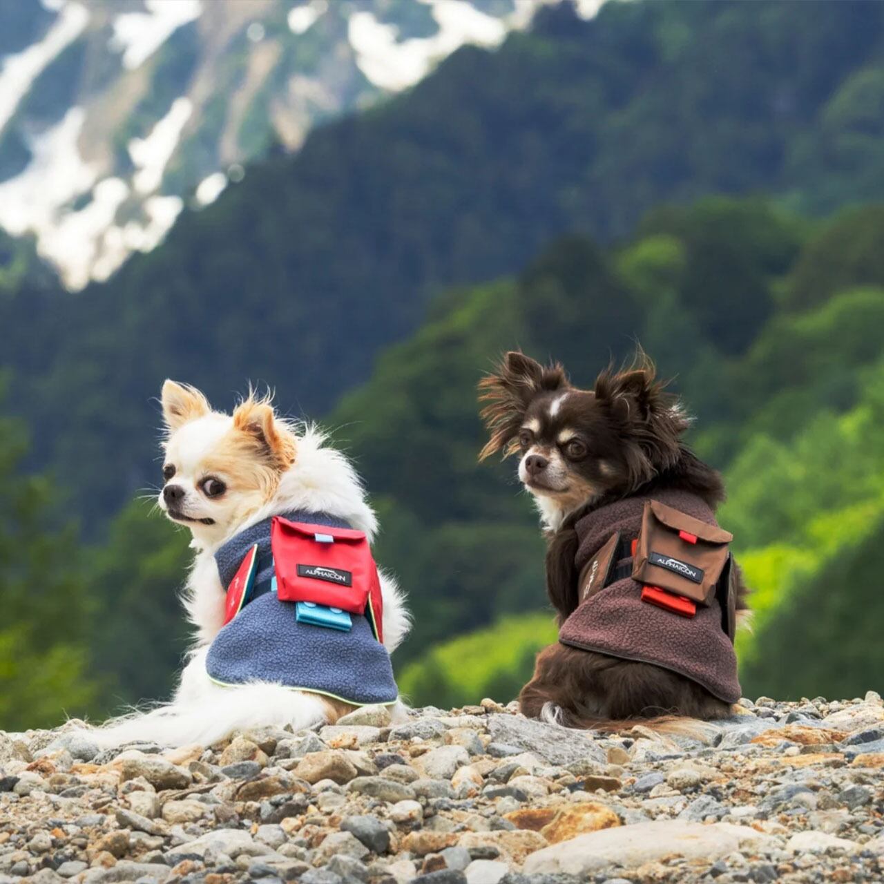 ALPHAICON [アルファアイコン] AIR LINER [25AL] エアライナー・ドッグ