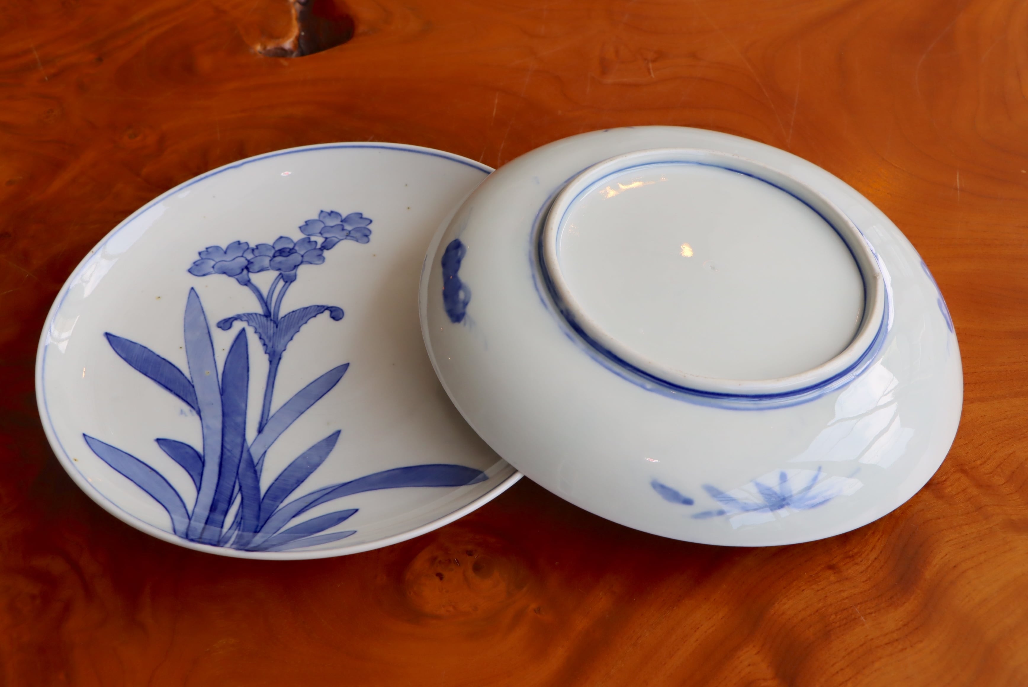 染付 阿蘭陀石竹文 中皿 七寸/Blue and white medium size plate | (有