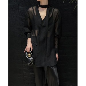 V-neck Sheer Shirt 503453