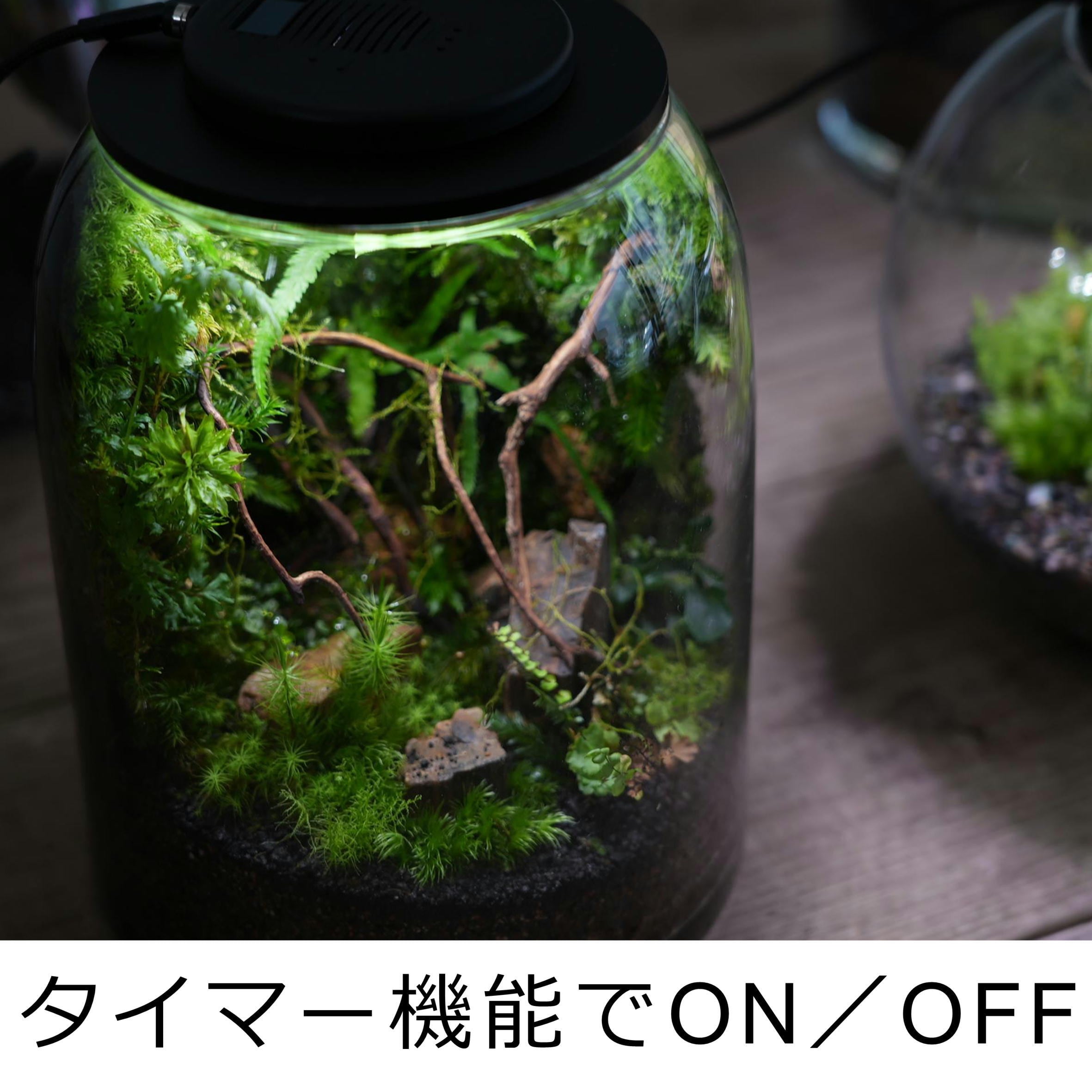 換気機能付き最新LED照明 Air&light ◇タイマー内蔵・USB給電 | 苔