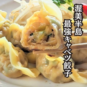 渥美半島最強キャベツ餃子　2箱（20個入り×2箱）（折箱）