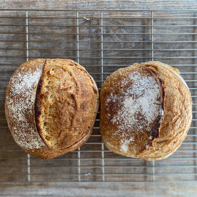 サワードウブレッドの毎月便　プレーン2ホール 　天然酵母　ハード系のパン【水・日　発送】　【Bakery】