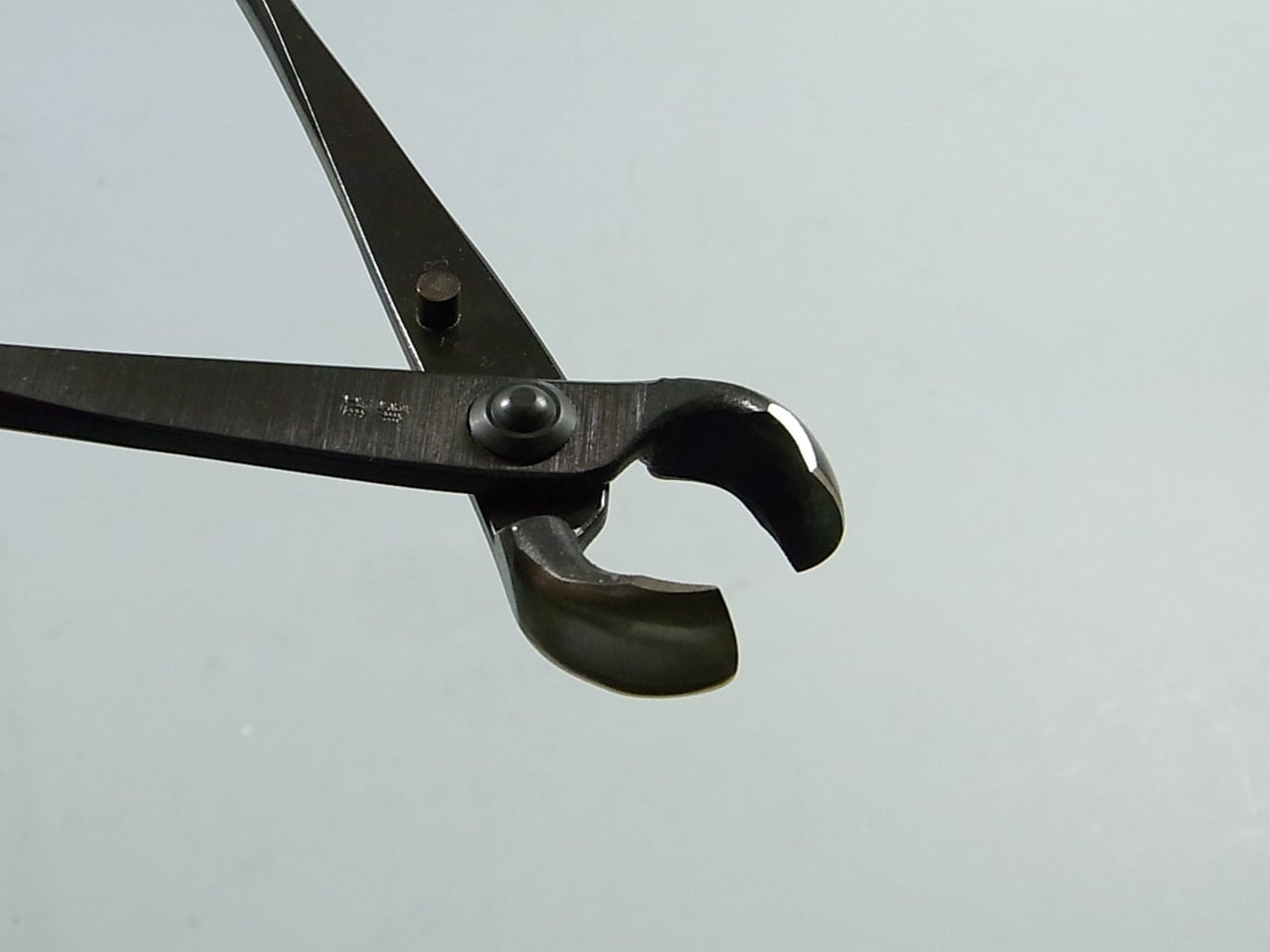 コブ切 大 210mm No.11 兼進 Bonsai Knuckle Cutter Kaneshin | Bonsai