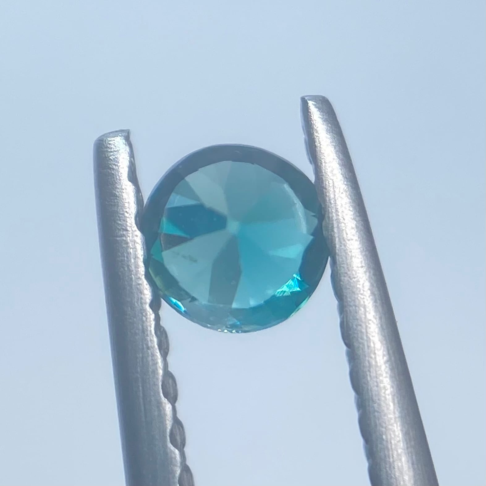 濃く鮮やかな希少カラー グランディディエライト2