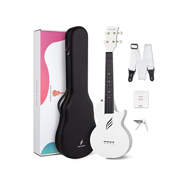 電子タンブーラ ～Saarang Maestro Dx | Pay ID