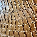麒麟鱗光 / Radiance of Kirin Scales thumbnail 4