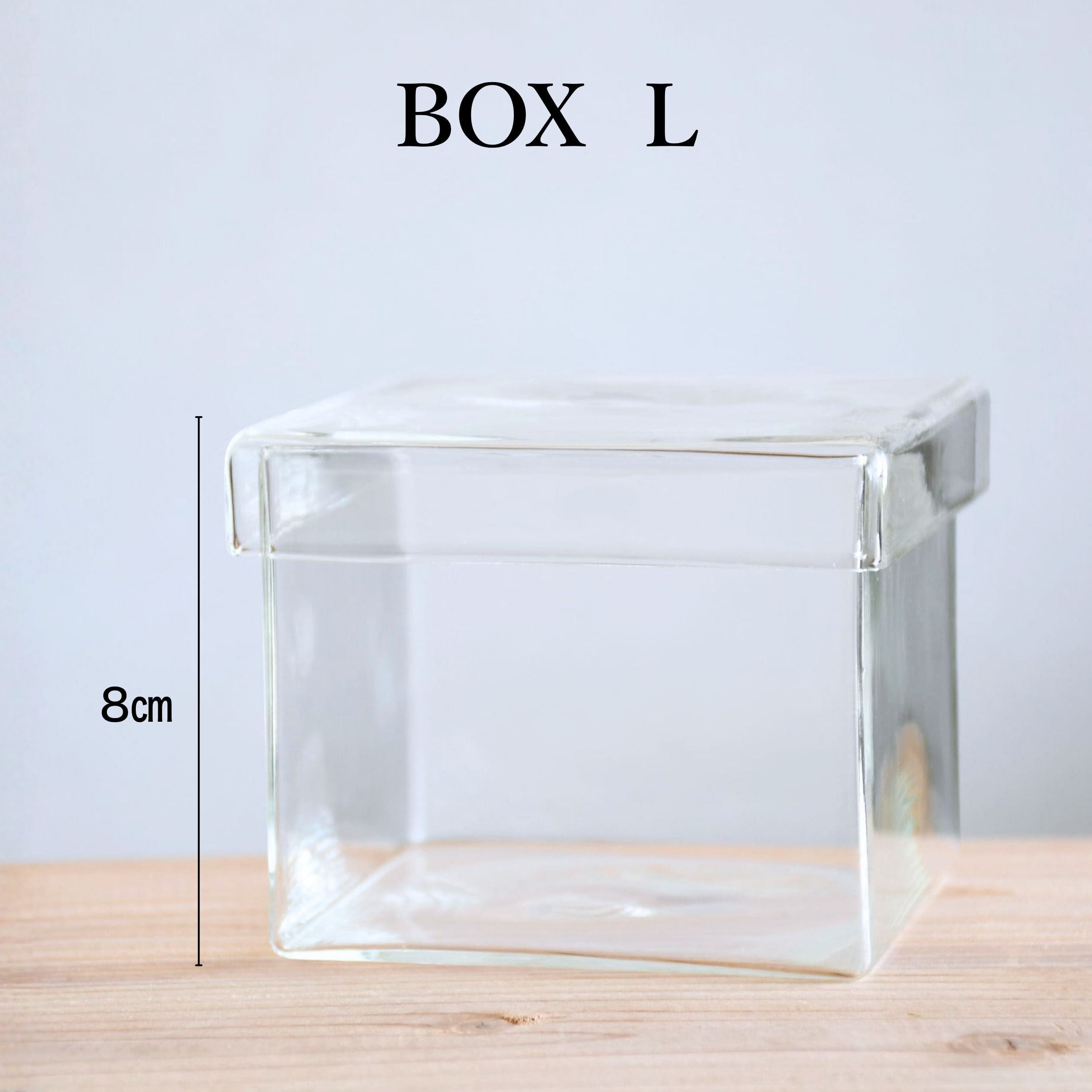 【ガラス容器】BOX・L(10㎝ × 10㎝ × 高さ8㎝)◆景色を作るのにおススメ