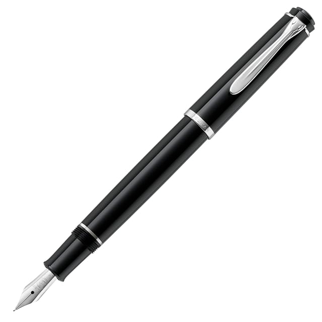 2013 ペリカン M101N リザード Pelikan M101N Lizard 14K 000693 | PAY ID