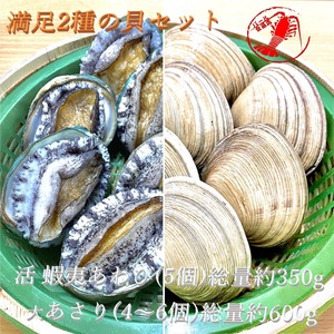 (活)蝦夷あわび5個(約350g)/大あさり4～6個(総量約600ｇ)満足2種の貝セット【鮑 アワビ 大アサリ】