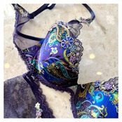 デンテルカシュメル モールドカップブラジャー リズシャルメル