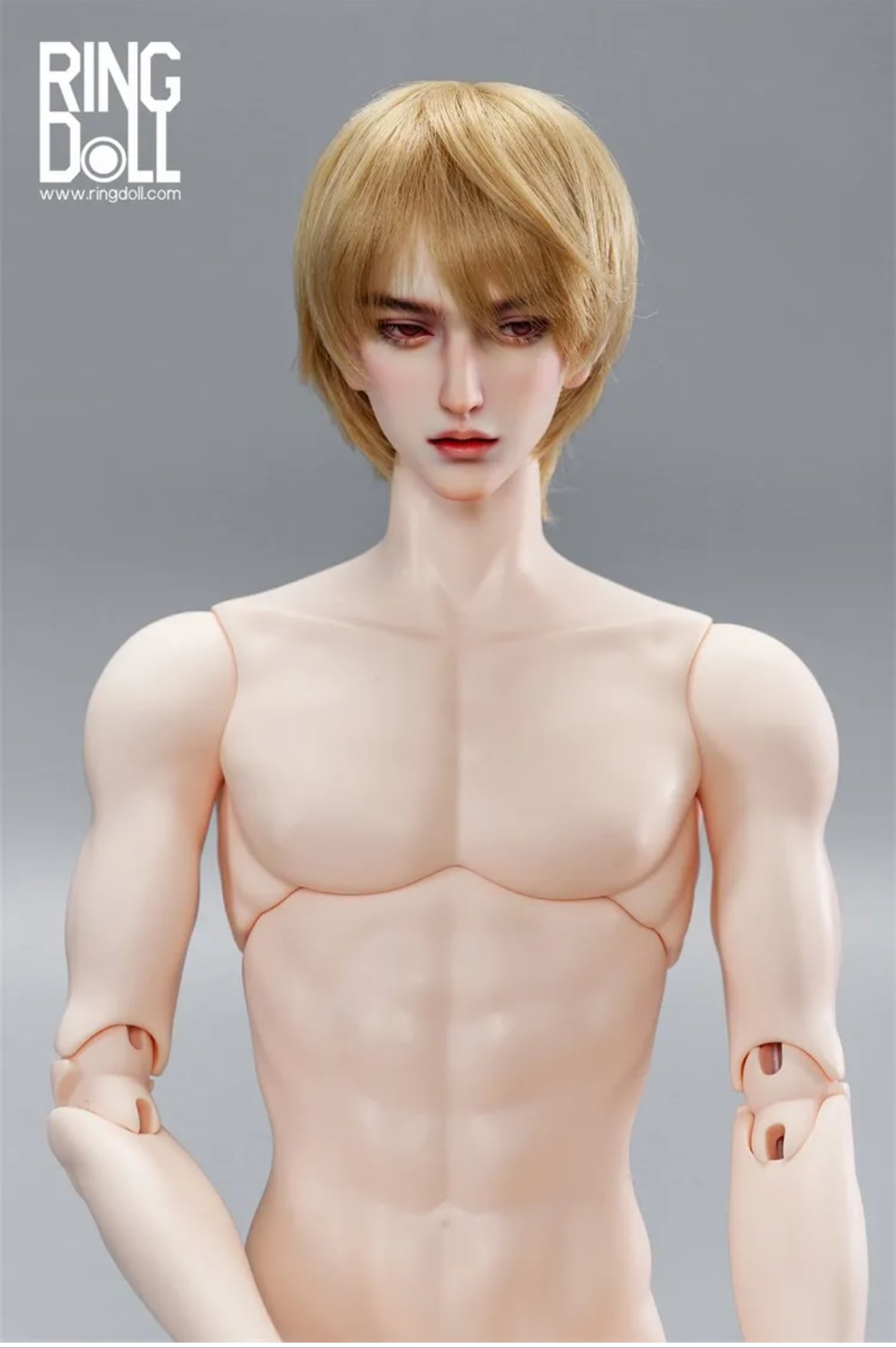 ドールウィッグ | ドールショップEDEN