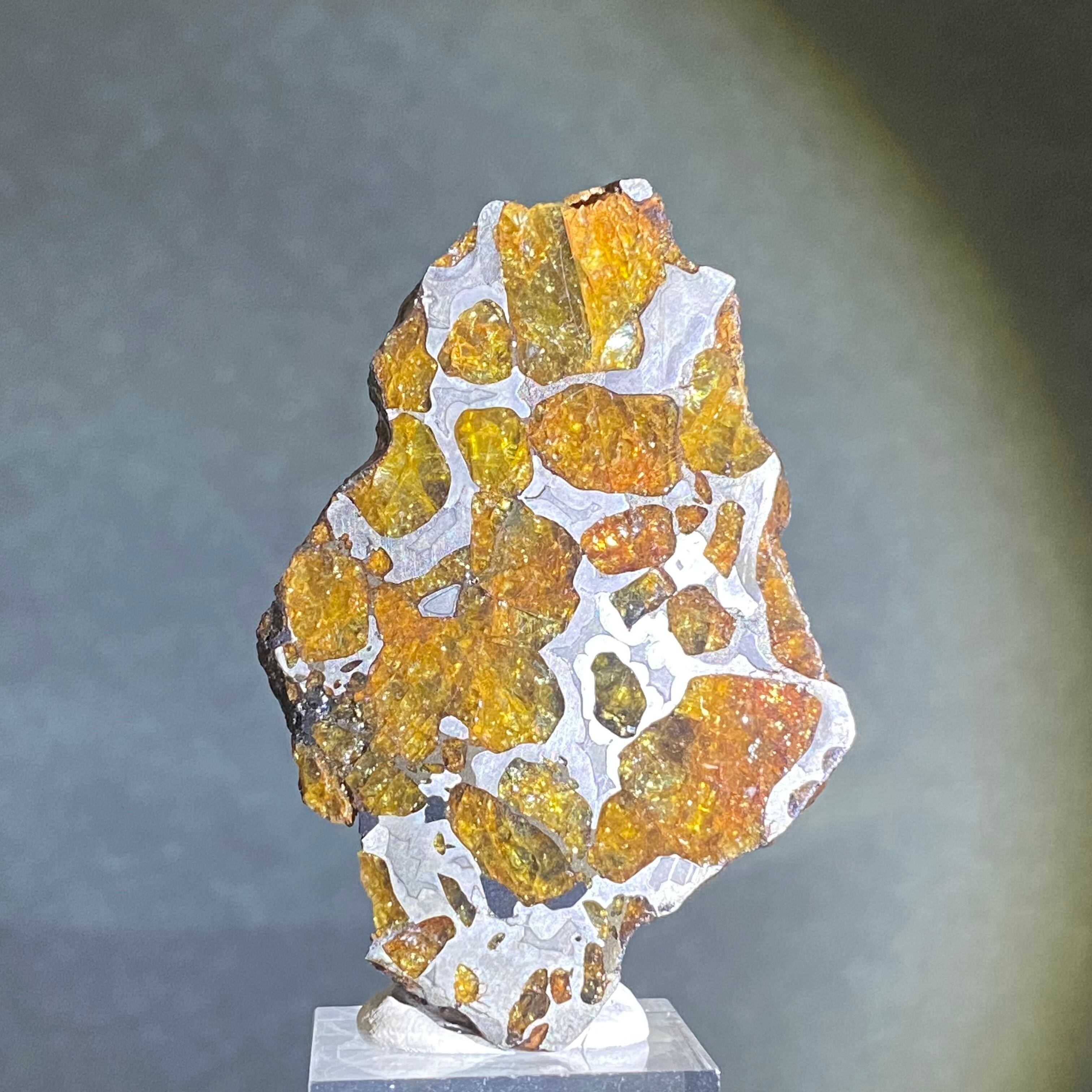 隕石 イミラック パラサイト 5.5g Imilac-