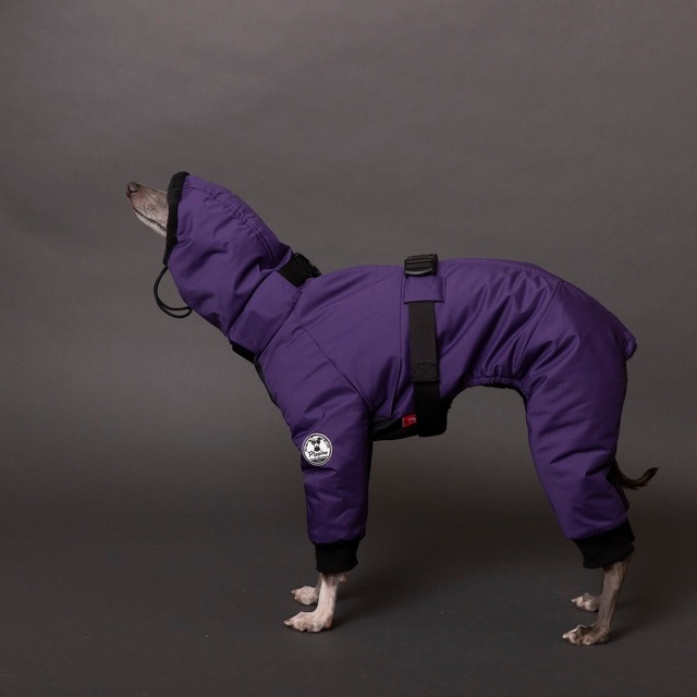 ★Special price★ ボンバーヒートジャケット2023　purple / イタグレ服