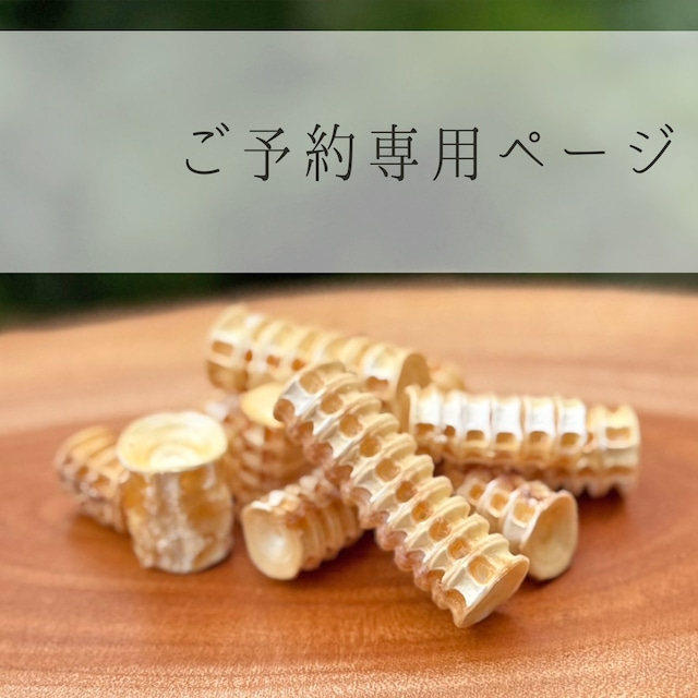 【ご予約／MK20260113】ご予約専用