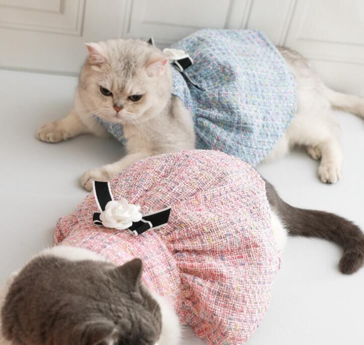 《予約》3101414 カラフル編み込みブランディングキャミワンピ