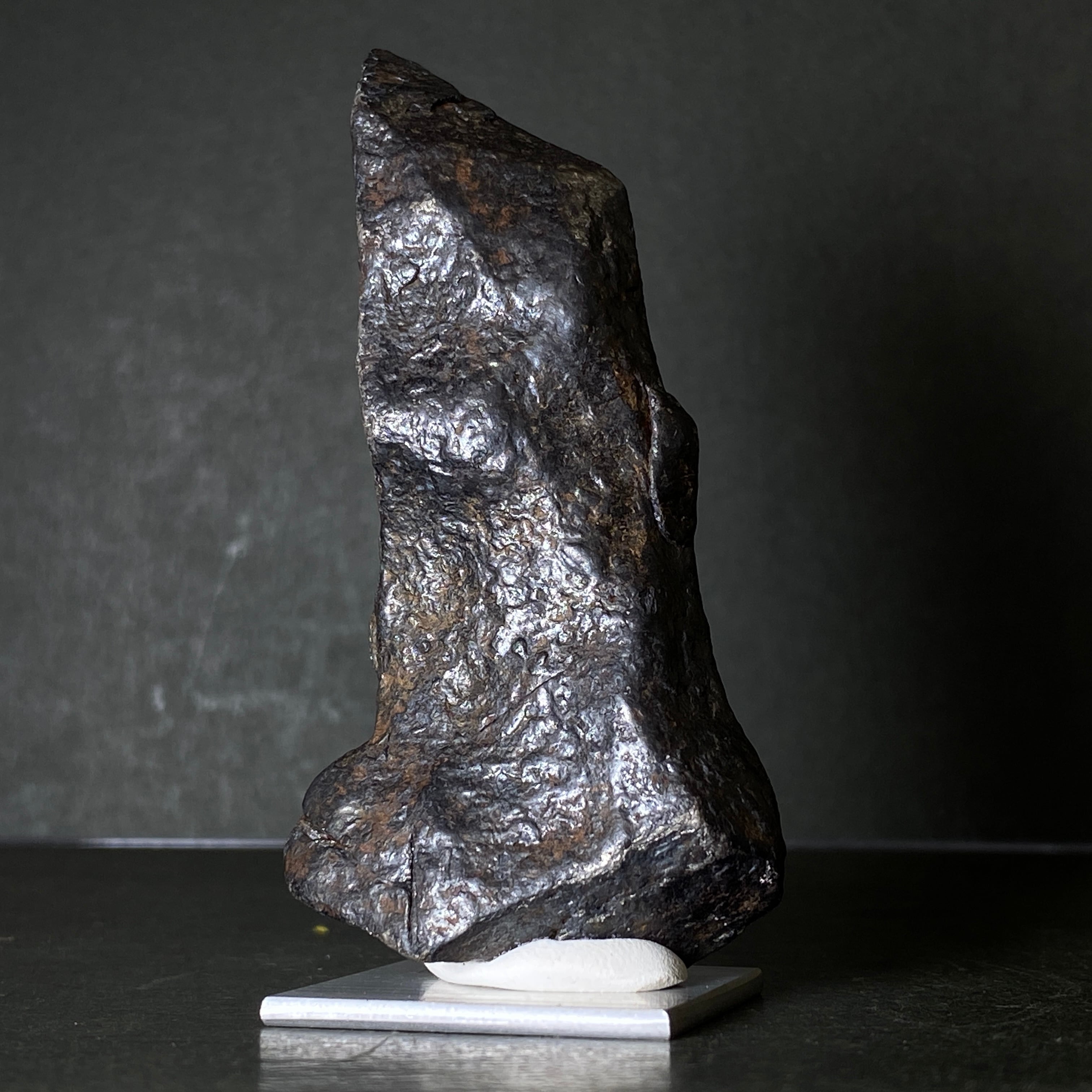 大型】ギベオン隕石 Gibeon Meteorite 25103110 | 【隕石屋】METEOS