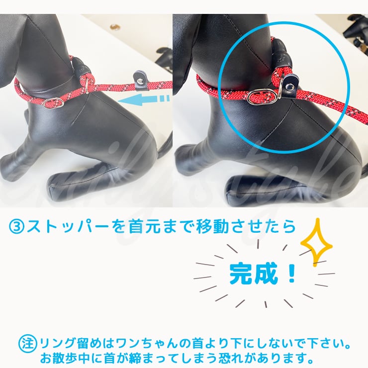 pet用 スリップリード 首輪一体型リード しつけリード ラウンドリード