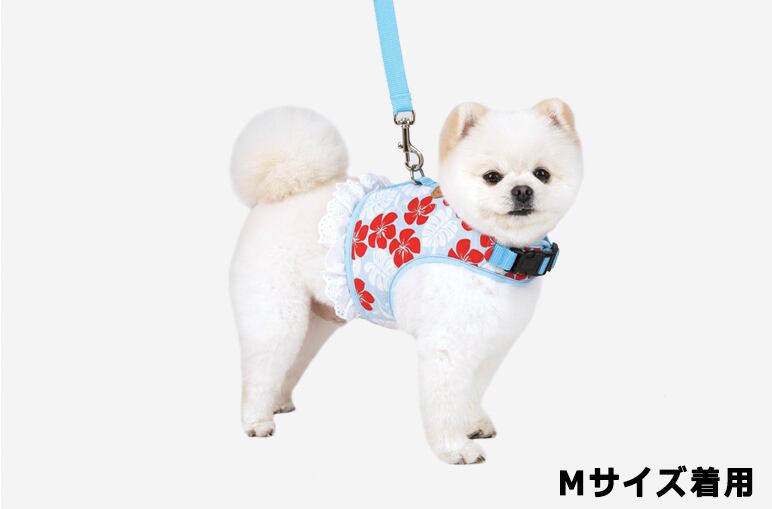 花柄ハーネス&リードセット S ~ L  2color   /   犬 犬用 ハーネス 小型犬 中型犬 ドッグウェア ペット用品 胴輪