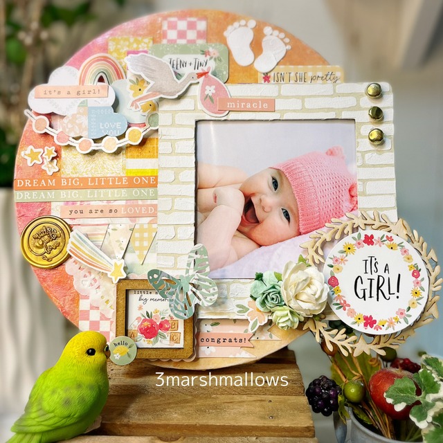 【期間限定価格】円形フォトフレーム※赤ちゃん女の子(オレンジグラデーション)※ユニーク好きなこだわりママさんへ　出産ギフトにも